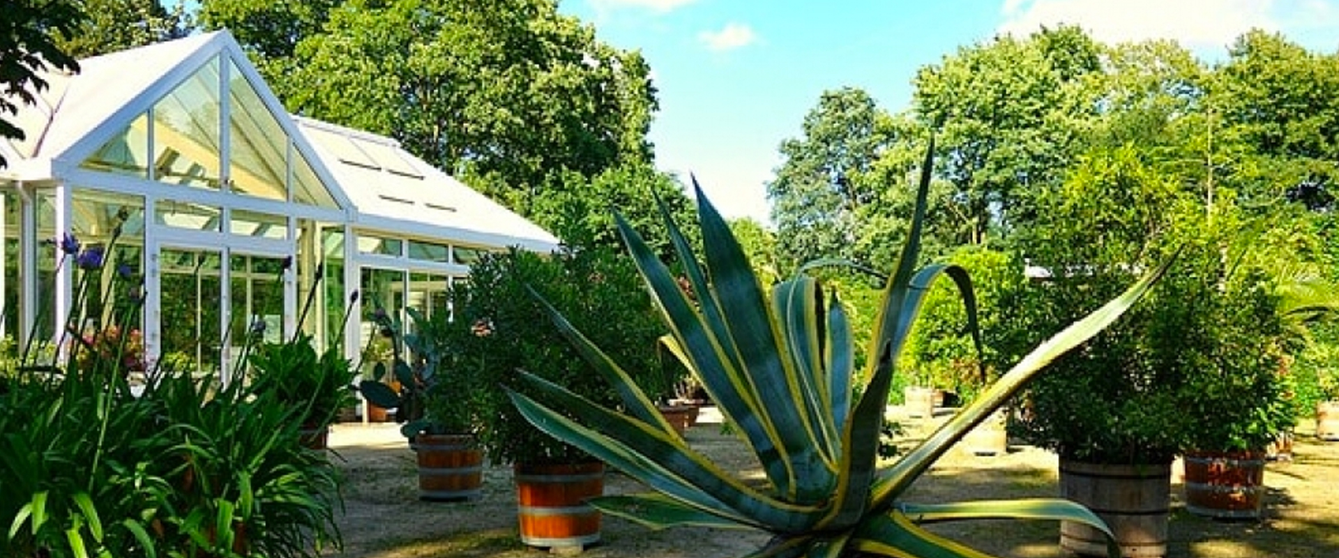 How A LivinRoof Can Turn Your Conservatory Into An Extension ...